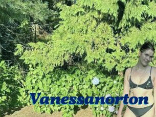 Vanessanorton