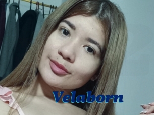 Velaborn