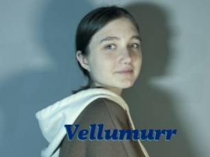 Vellumurr