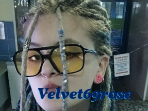 Velvet69rose