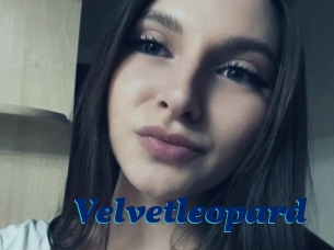 Velvetleopard