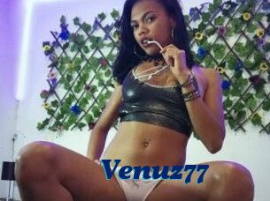 Venuz77