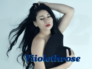 Viiolethrose