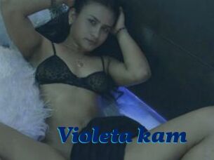 Violeta_kam