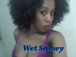 Wet_Snowy