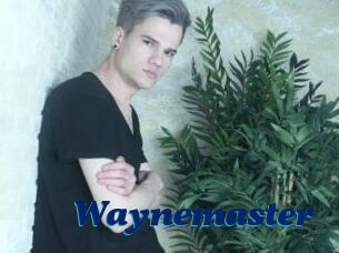 Waynemaster