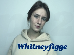Whitneyfigge