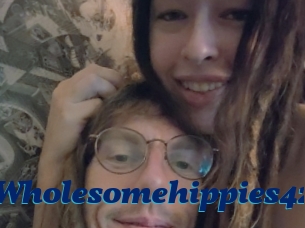 Wholesomehippies42