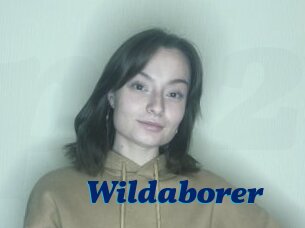 Wildaborer