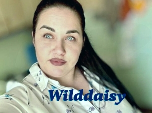Wilddaisy