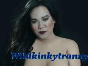 Wildkinkytranny