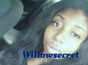Willow_secret