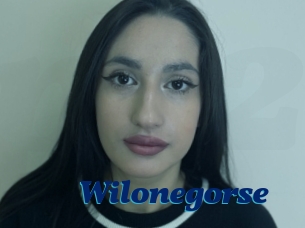 Wilonegorse