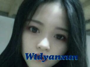 Wtdyanxun