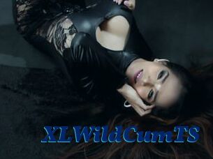 XLWildCumTS