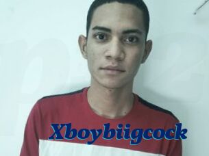 Xboybiigcock