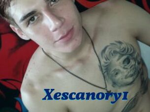 Xescanory1