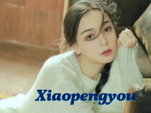 Xiaopengyou