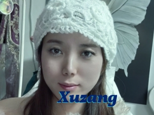 Xuzang