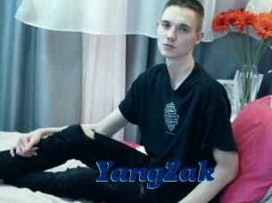 YangZak