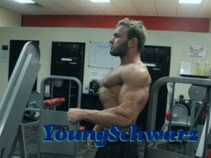 YoungSchwarz