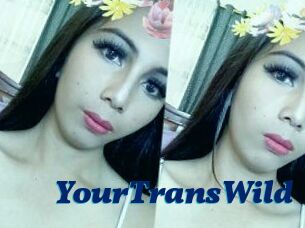 YourTransWild