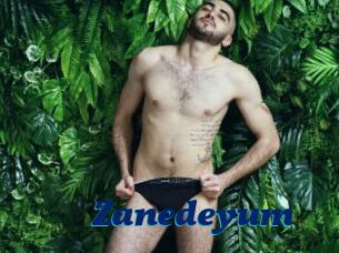 Zanedeyum