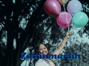 Zattinmartin