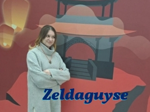 Zeldaguyse