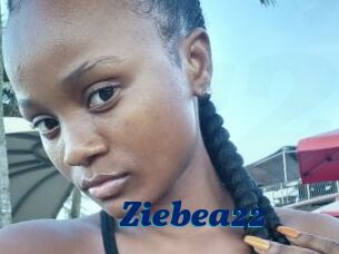 Ziebea22
