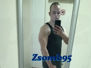 Zsomb95